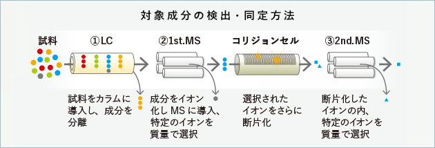 対象成分の検出・同定方法