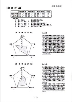 総合評価(例）